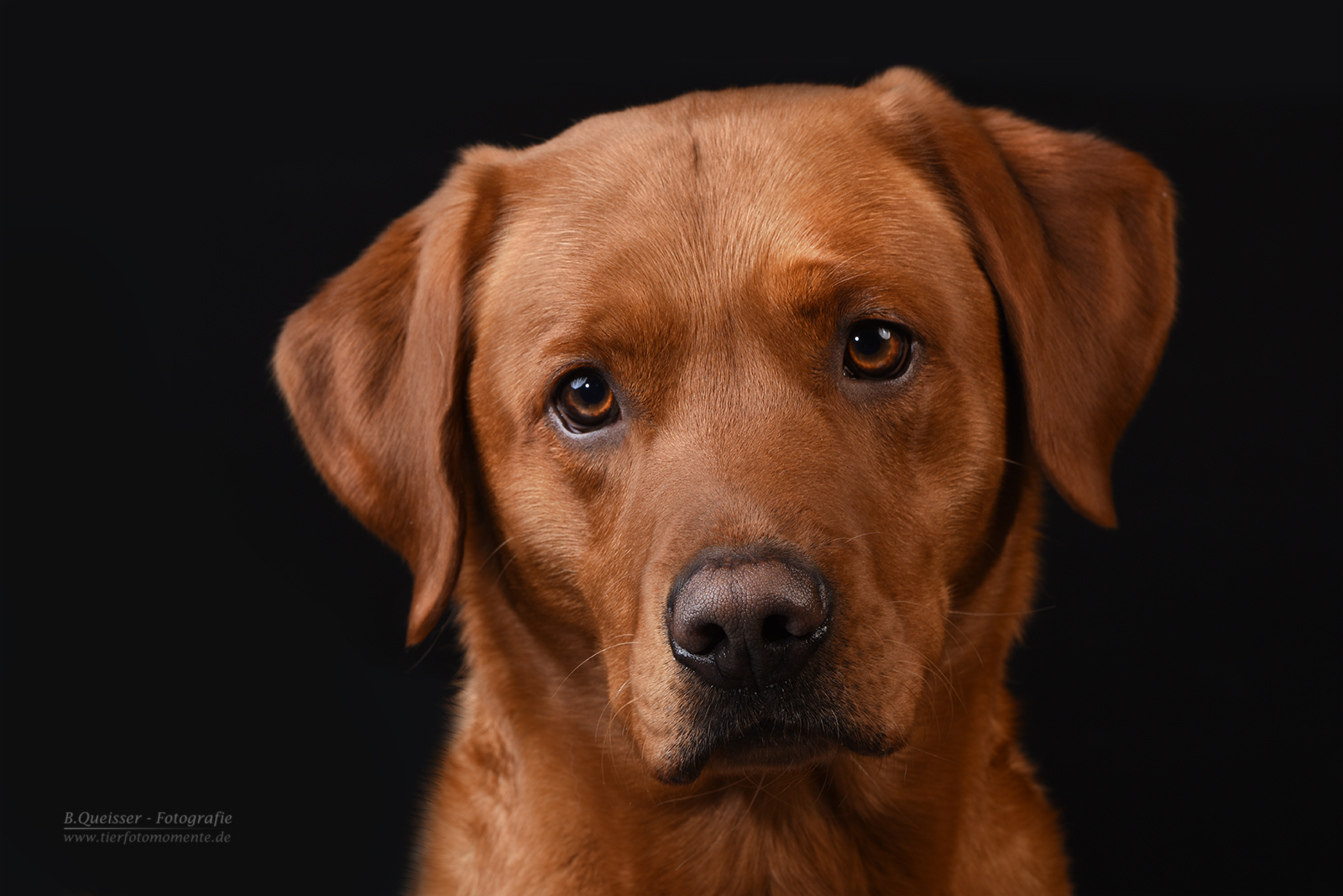 Speed`n Style Bond, James Bond