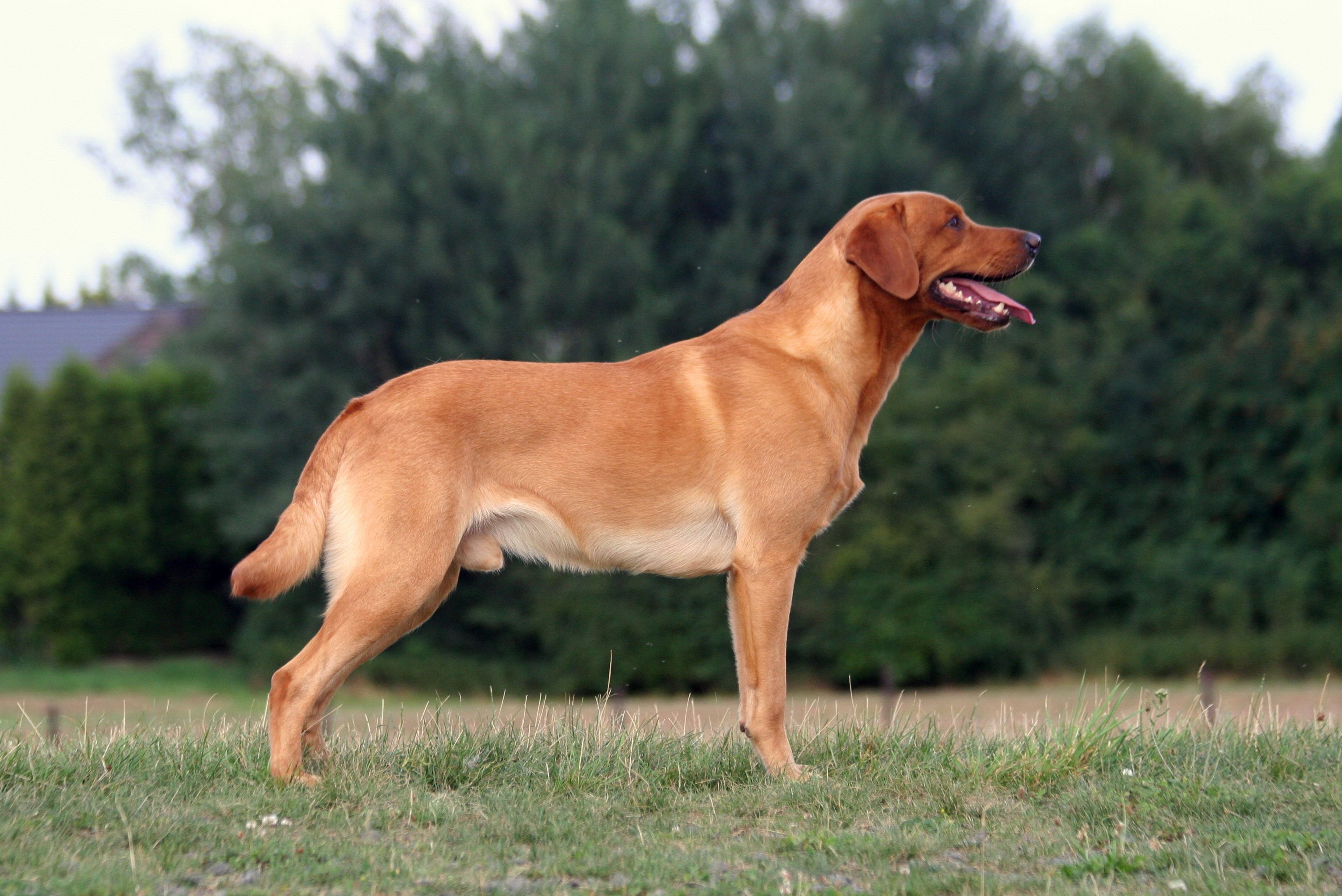 Speed`n Style Bond, James Bond